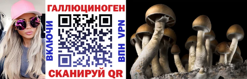 Псилоцибиновые грибы Psilocybe  купить наркоту  Невьянск 